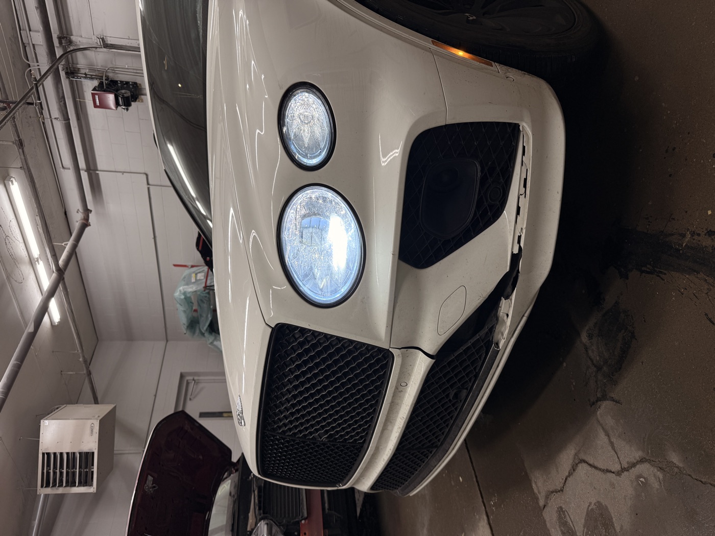 White Bentley Continental headlight and bumper detail after refinish