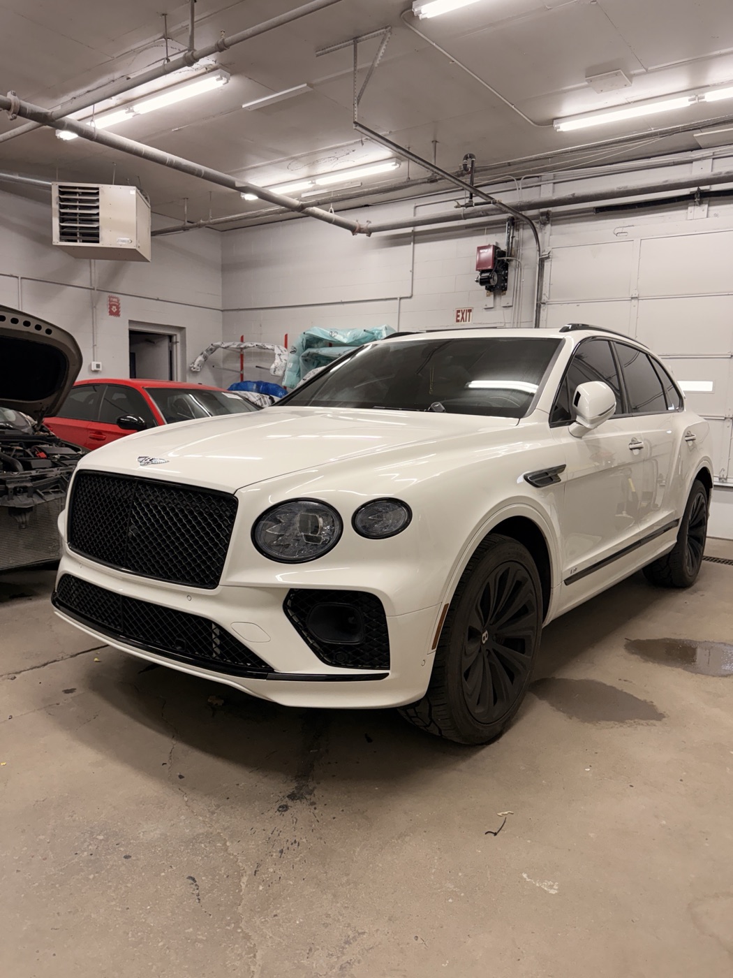 White Bentley Continental finished front end at Primeline Auto Body